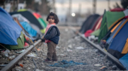 Περισσότερα από 51.000 ασυνόδευτα ανήλικα αγνοούμενα στην Ευρώπη – Αυξάνεται ο αριθμός των παιδιών που ζητούν άσυλο