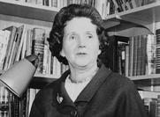 Ρέιτσελ Λουίζ Κάρσον 1907 – 1964