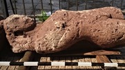 Αγρότης εντόπισε τυχαία αρχαιολογικό θησαυρό στη Φθιώτιδα