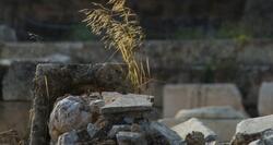Ακουστική μύηση στα Ελευσίνια Μυστήρια, με τα μάτια κλειστά