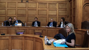 Βρήκε τις 30 υπογραφές η Καρυστιανού...