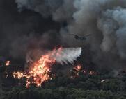 Καμία στάχτη δεν είναι αναπόφευκτη