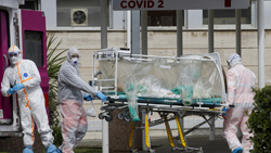 Επιστολή βιολόγων και ερευνητών σε Μητσοτάκη: Καντε τεστ για να ξέρουμε τι γίνεται - Επίταξη όλων των αντιδραστηρίων