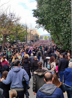 Η... δημοκρατία των μαφιών