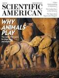 Scientific American: Η μεγάλη σημασία του παιχνιδιού στα ζώα