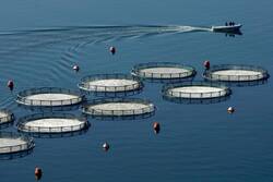 Ο Πόρος αρνείται να γίνει μια ατελείωτη έκταση ιχθυοκαλλιεργειών