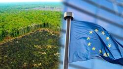Συμφωνία μαμούθ ΕΕ-Mercosur: Θα βάλουν οι Ευρωπαίοι την υπογραφή τους στην καταστροφή του Αμαζονίου;