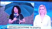 Μας έφερε κι εδώ τις ... ακρίδες ...