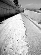 Να γραφεί στα πρακτικά…